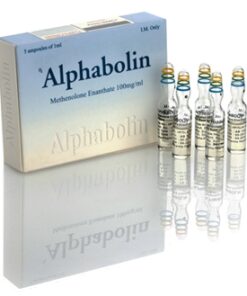 ALPHABOLIN AMP