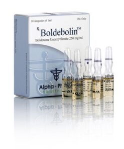 BOLDEBOLIN AMP