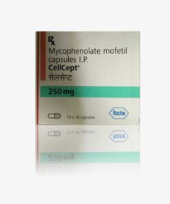 Cellcept Mycophenolate 250 mg Capsules 100S