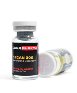 DECAN 300