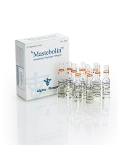 MASTEBOLIN AMP