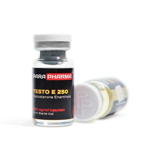 TESTO E 250