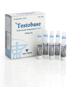 TESTOBASE