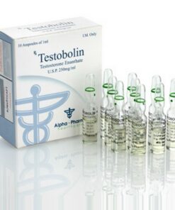 TESTOBOLIN AMP