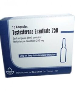 TESTOSTERONE ENANTHATE 250MG